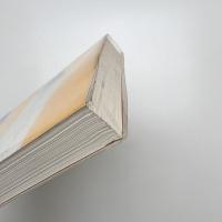 妻喰い男 マナット・チャンヨン短編集