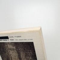 東京日記 リチャード・ブローティガン詩集