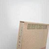 新ナポレオン奇譚