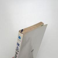 年上の女を讃える ヴァイダ・アンドラーシュの愛の回想