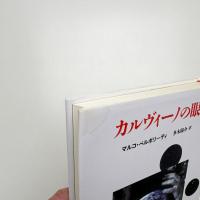 カルヴィーノの眼