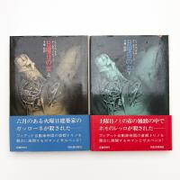 日曜日の女 上下