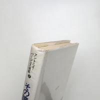 その瞳は太陽に似ず