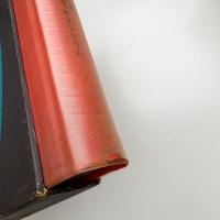 現代東欧文学全集6 肉桂色の店, クレプシドラ・サナトリウム, コスモス