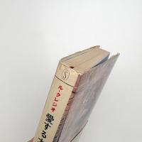 愛する大地 テラ・アマータ