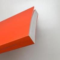 Cubisme: l'autte rive-Résonances en Asie