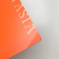 国際シンポジウム2005 アジアのキュビスム 発表論文集