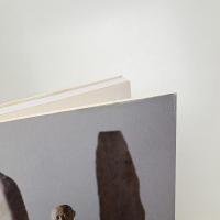 若林奮 飛葉と振動