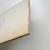 木のニューウェーブ イコンの森の思索者たち