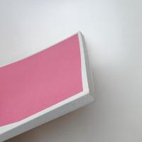 国際シンポジウム2002 流動するアジア 表象とアイデンティティ 発表論文集