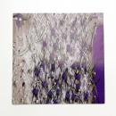 中西夏之 作品 5月