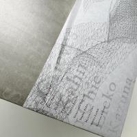 トレース・エレメンツ 日豪の写真メディアにおける精神と記憶