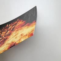 遠藤利克展 聖性の考古学 展示記録集