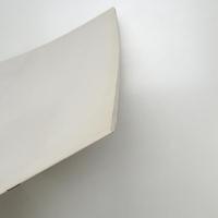 RECENT WORKS by Chatchai Puipia & Pinaree Sanpitak