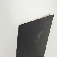 ラシード・アライーン展 抗争/構造