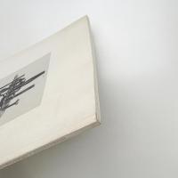 Eduardo Paolozzi: Sculptures from a Garden