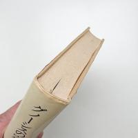 グノーシスの宗教 異邦の神の福音とキリスト教の端緒