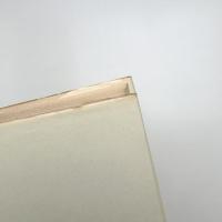 グノーシスの宗教 異邦の神の福音とキリスト教の端緒