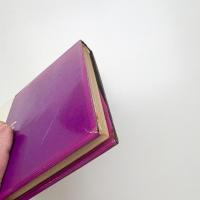 現代フランス幻想小説