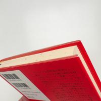 姉妹の選択 アメリカ女性文学の伝統と変化