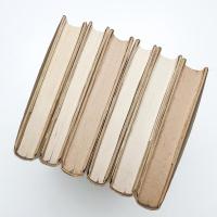 テネシー・ウィリアムズ小説集 揃