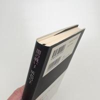 闇の戦い3 灰色の王