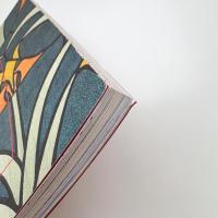 ART-BOOK：絵画性と複製性 MAU M&L貴重書コレクション×Lubookの試み