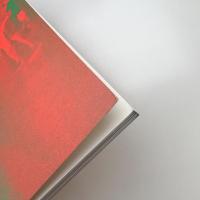 日本の夏 1960-64 こうなったらやけくそだ!