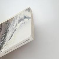 Wolfgang Tillmans｜Freischwimmer