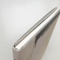 Brice Marden: Paintings on Marble