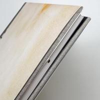 Brice Marden: Paintings on Marble