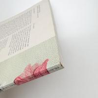 Frankenthaler: Works on Paper 1949-1984