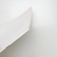 第17回 平行芸術展 桜の花は匂わないか?