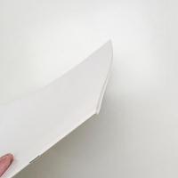 第18回 平行芸術展 〈あざやか〉の構造