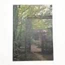 蔡國強の茶室 岡倉天心へのオマージュ