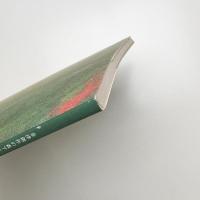 金津創作の森アート・ドキュメント '99 アジアの森から