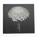 土の地平 伊藤公象展 人為と自然の間に