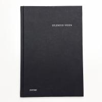 SPLEND VOIDS: The Immersive Works of Kurt Hentschläger