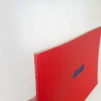 naked state: A Selected View of Toronto Art