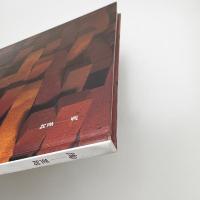 陶 Vol.32 國安孝昌