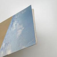 ART INTO LANDSCAPE