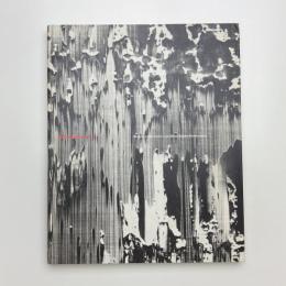 Gerhard Richter 1988/89