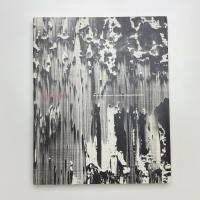 Gerhard Richter 1988/89