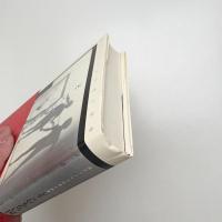 どこにもない国 現代アメリカ幻想小説集