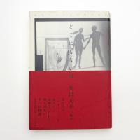 どこにもない国 現代アメリカ幻想小説集