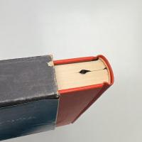 現代東欧文学全集6 肉桂色の店 クレプシドラ・サナトリウム コスモス