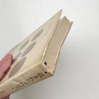 盗まれたメロディー