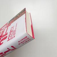 コールガール 私は大学教師、そして売春婦