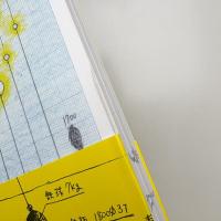 タムラサトル 真夏の遊園地