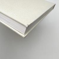 美術館へのパッサージュ 石原友明展